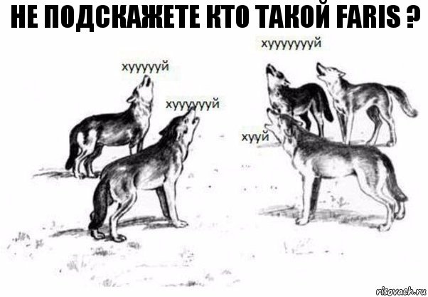 Не подскажете кто такой Faris ?, Комикс Когда хочешь