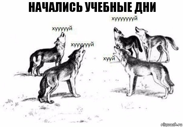 начались учебные дни