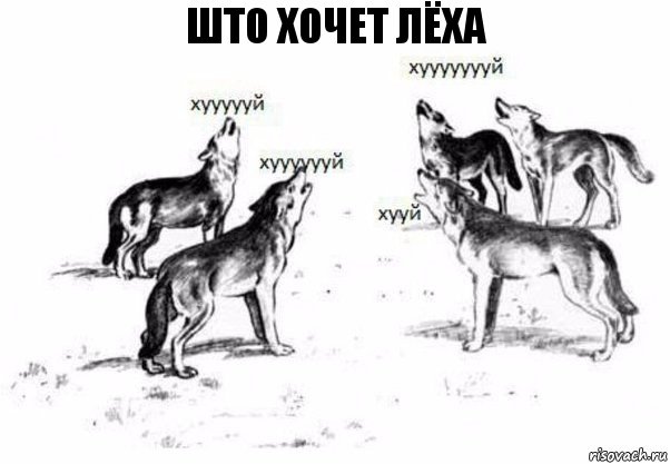 што хочет Лёха, Комикс Когда хочешь