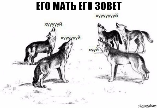 его мать его зовет, Комикс Когда хочешь