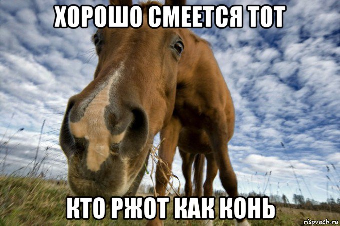 хорошо смеется тот кто ржот как конь, Мем конь