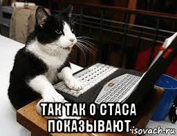  так так о стаса показывают, Мем Кошка за компьютером