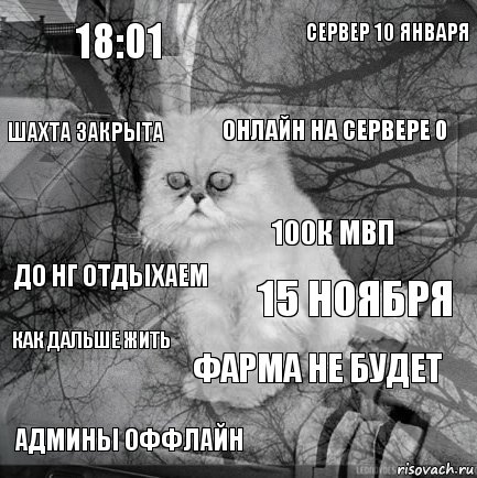 18:01 15 ноября онлайн на сервере 0 админы оффлайн до нг отдыхаем сервер 10 января фарма не будет шахта закрыта как дальше жить 100к мвп, Комикс  кот безысходность