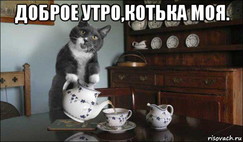 доброе утро,котька моя. 