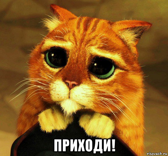  приходи!