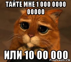 тайте мне 1 000 0000 00000 или 10 00 000, Мем Кот из Шрека