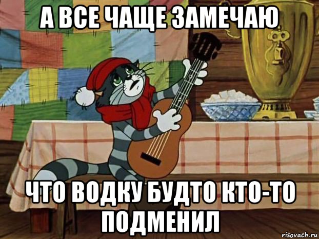 а все чаще замечаю что водку будто кто-то подменил, Мем Кот Матроскин с гитарой