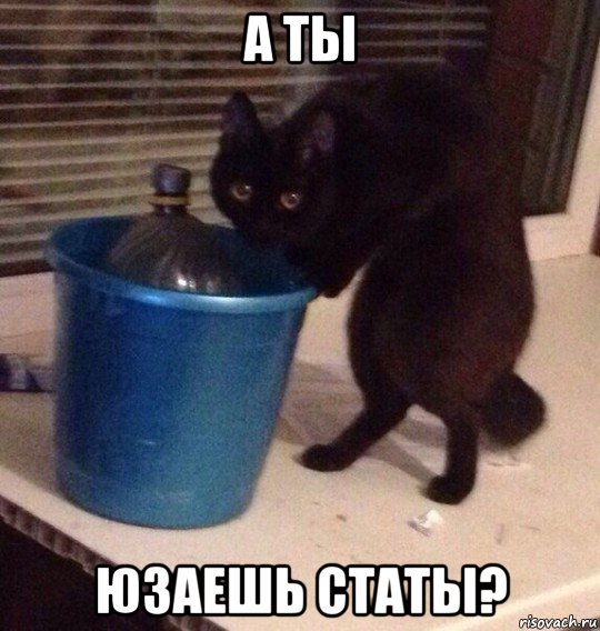а ты юзаешь статы?
