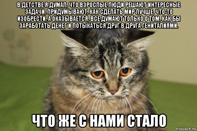 в детстве я думал, что взрослые люди решают интересные задачи, придумывают, как сделать мир лучше, что-то изобрести, а оказывается, все думают только о том, как бы заработать денег и потыкаться друг в друга гениталиями. что же с нами стало, Мем кот