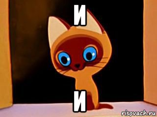 и и, Мем котенок гав