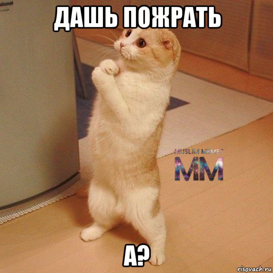 дашь пожрать а?