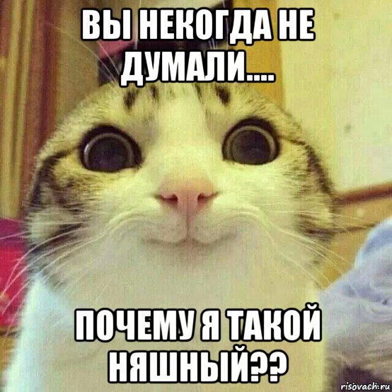 вы некогда не думали.... почему я такой няшный??, Мем       Котяка-улыбака