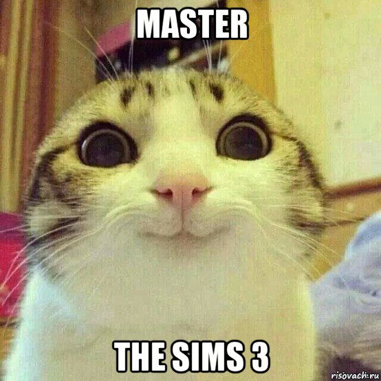 master the sims 3, Мем       Котяка-улыбака