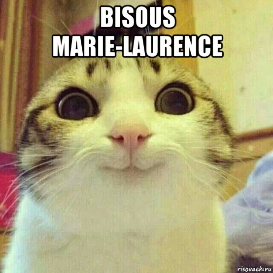 bisous marie-laurence , Мем       Котяка-улыбака