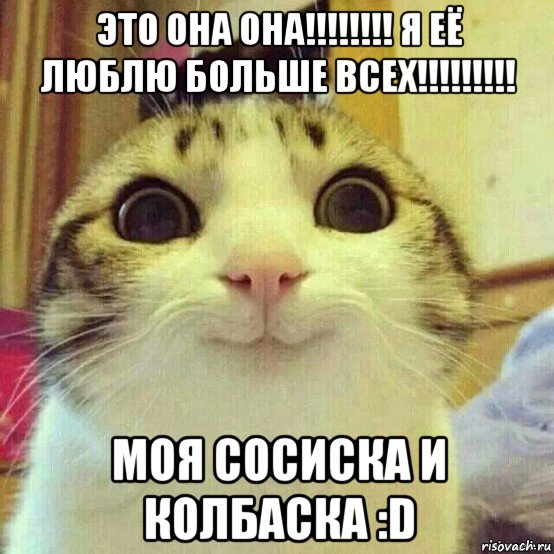 это она она!!!!!!!! я её люблю больше всех!!!!!!!!! моя сосиска и колбаска :d, Мем       Котяка-улыбака