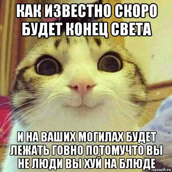 как известно скоро будет конец света и на ваших могилах будет лежать говно потомучто вы не люди вы хуй на блюде, Мем       Котяка-улыбака