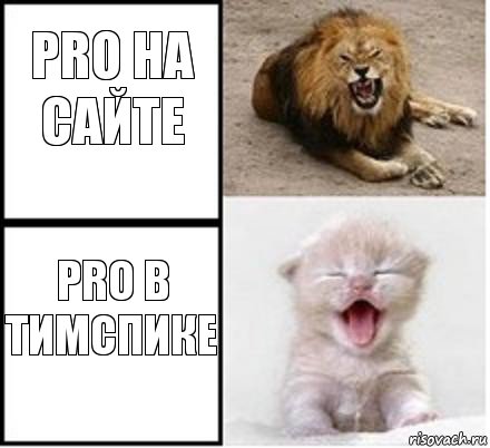 PRO на сайте PRO в тимспике, Комикс Лев и котенок