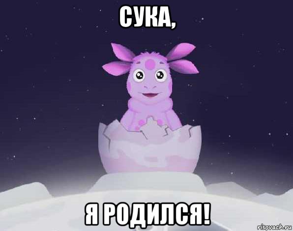 сука, я родился!, Мем лунтик