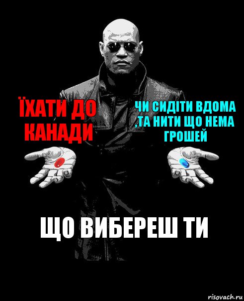 Їхати до Канади Чи сидіти вдома ,та нити що нема грошей Що вибереш ти, Комикс Выбор