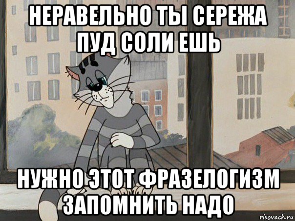 неравельно ты сережа пуд соли ешь нужно этот фразелогизм запомнить надо, Мем Матроскин