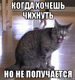 когда хочешь чихнуть но не получается