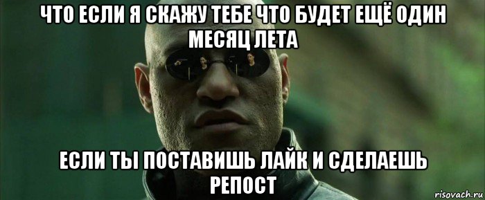 что если я скажу тебе что будет ещё один месяц лета если ты поставишь лайк и сделаешь репост