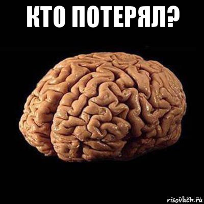 кто потерял? , Мем мозг