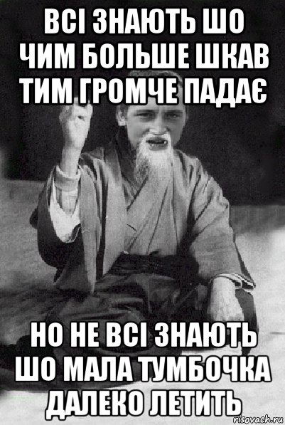 всі знають шо чим больше шкав тим громче падає но не всі знають шо мала тумбочка далеко летить, Мем Мудрий паца