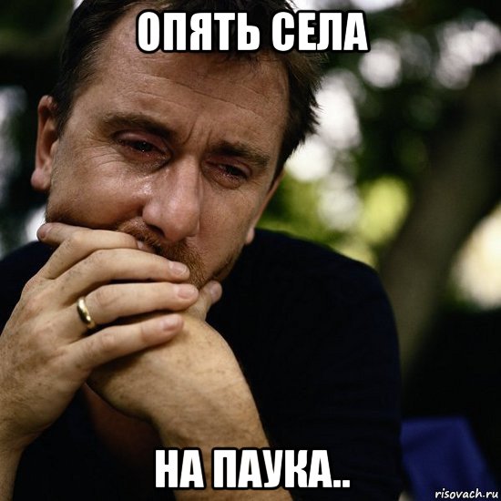 опять села на паука..