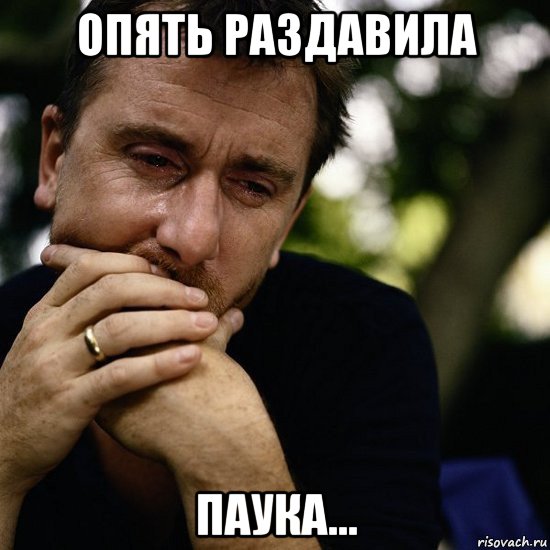 опять раздавила паука...