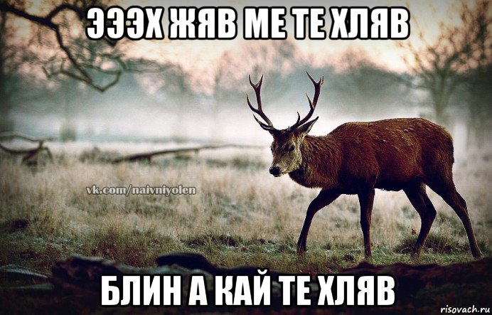 эээх жяв ме те хляв блин а кай те хляв