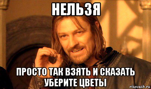 нельзя просто так взять и сказать уберите цветы, Мем Нельзя просто так взять и (Боромир мем)