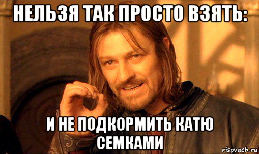 нельзя так просто взять: и не подкормить катю семками, Мем Нельзя просто так взять и (Боромир мем)