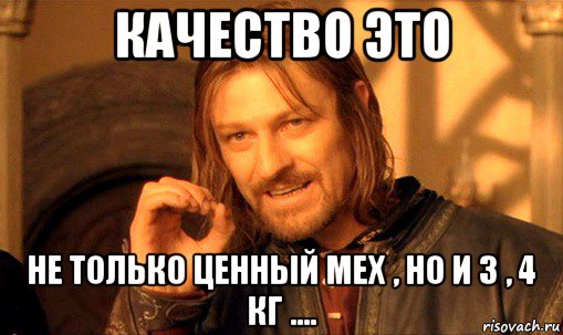 качество это не только ценный мех , но и 3 , 4 кг ...., Мем Нельзя просто так взять и (Боромир мем)