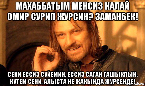 махаббатым менсиз калай омир сурип журсин? заманбек! сени ессиз суйемин, ессиз саган гашыкпын. кутем сени, алыста не жакында журсенде!, Мем Нельзя просто так взять и (Боромир мем)