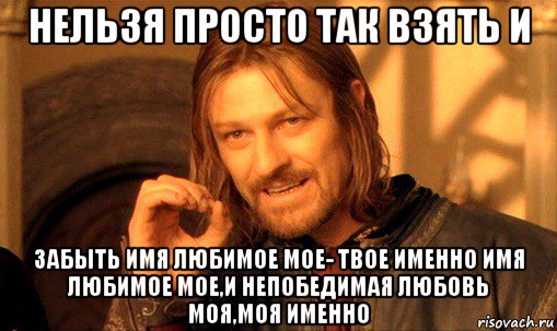 нельзя просто так взять и забыть имя любимое мое- твое именно имя любимое мое,и непобедимая любовь моя,моя именно, Мем Нельзя просто так взять и (Боромир мем)