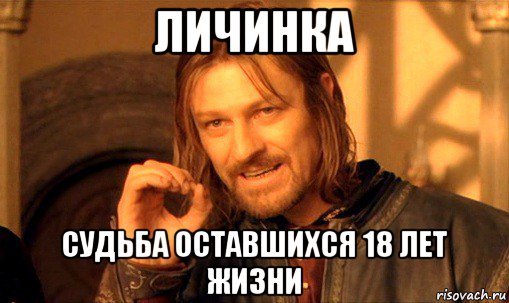 личинка судьба оставшихся 18 лет жизни, Мем Нельзя просто так взять и (Боромир мем)