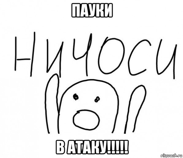 пауки в атаку!!!!!