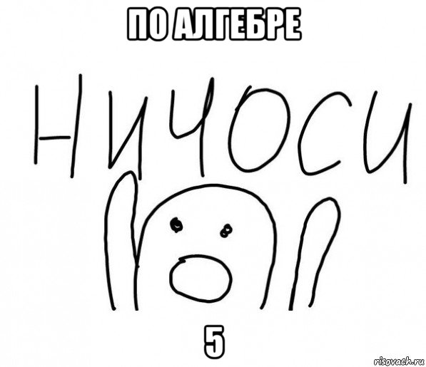 по алгебре 5, Мем  Ничоси