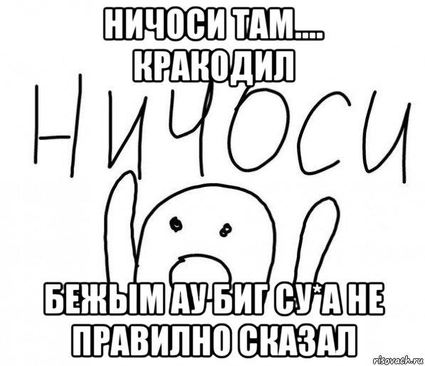 ничоси там.... кракодил бежым ау биг су*а не правилно сказал, Мем  Ничоси