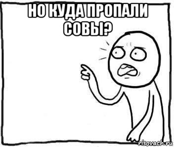 но куда пропали совы? , Мем Но ведь