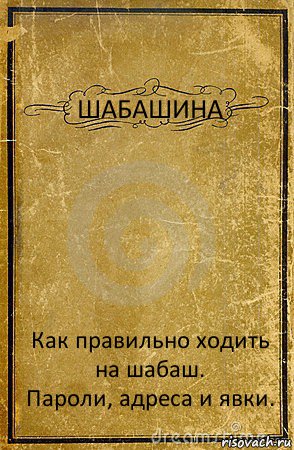 ШАБАШИНА Как правильно ходить на шабаш.
Пароли, адреса и явки., Комикс обложка книги