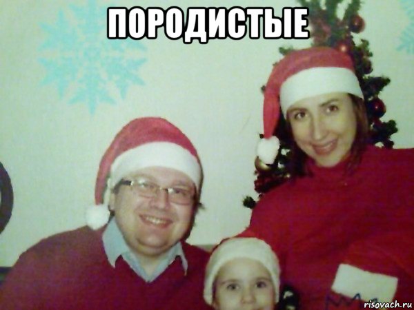 породистые 