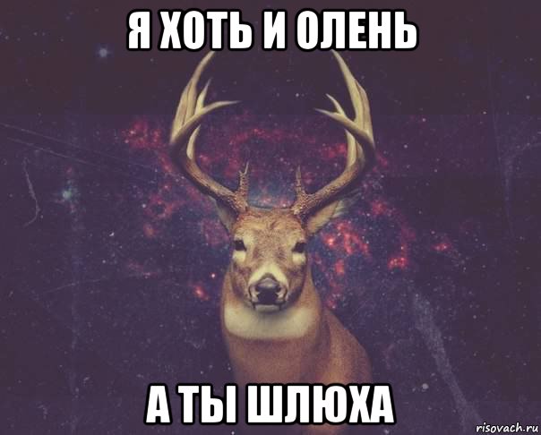 я хоть и олень а ты шлюха