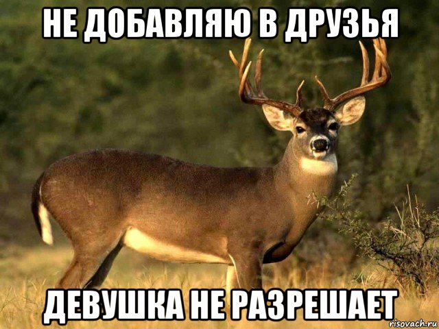 не добавляю в друзья девушка не разрешает