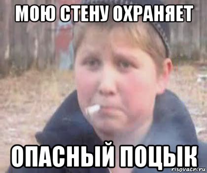 мою стену охраняет опасный поцык