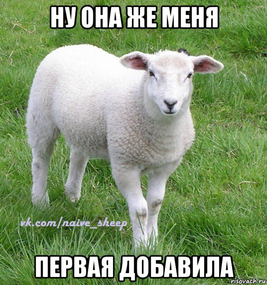 ну она же меня первая добавила