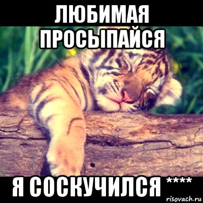 любимая просыпайся я соскучился ****, Мем пар3