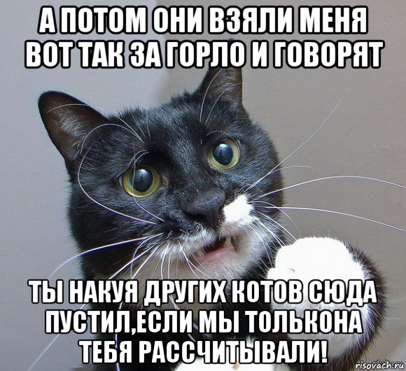 а потом они взяли меня вот так за горло и говорят ты накуя других котов сюда пустил,если мы толькона тебя рассчитывали!