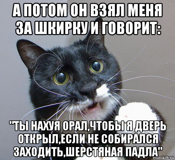 а потом он взял меня за шкирку и говорит: "ты нахуя орал,чтобы я дверь открыл,если не собирался заходить,шерстяная падла"